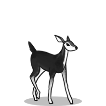 无感知切换的{固定网站名称23}