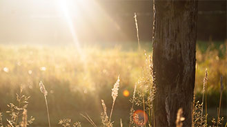 绿色版干净的小七手机号在线网页轰炸