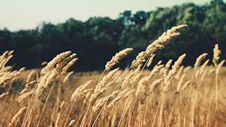 哪里买最实惠的电话轰在线轰炸平台自助下单